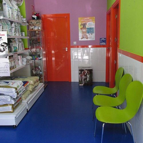 Consulta veterinaria en Talavera de la Reina