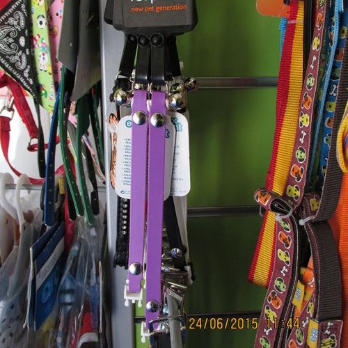 Consulta veterinaria en Talavera de la Reina