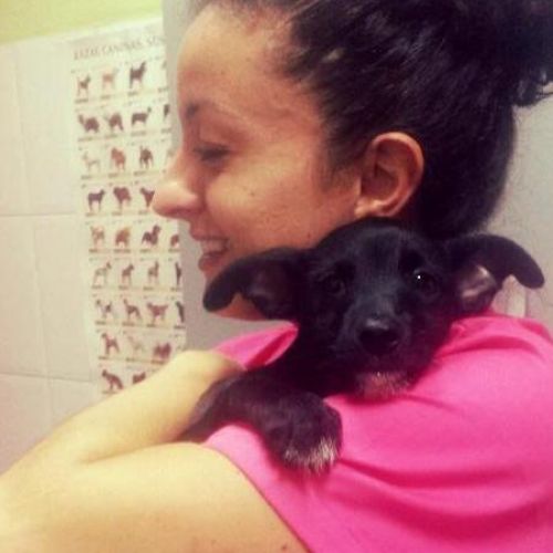 consulta veterinaria Talavera de la Reina