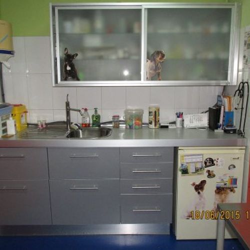 consulta veterinaria en Talavera de la Reina