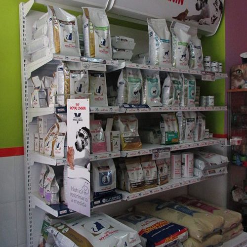 Consulta veterinaria en Talavera de la Reina